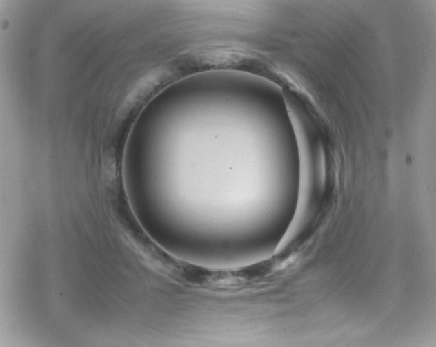 X0000070410407200606091156