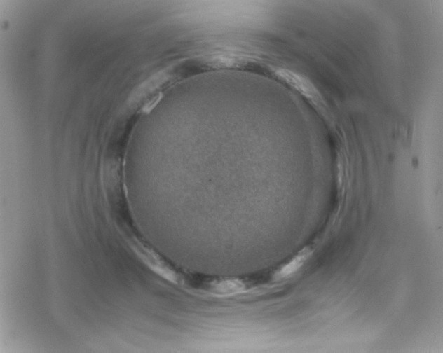 X0000070410409200606091156