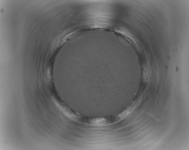 X0000070410410200606091156