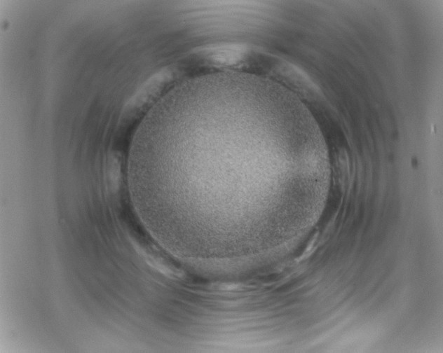 X0000070410412200606091156