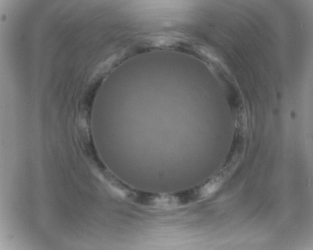 X0000070410415200606091156