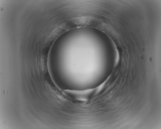 X0000070410416200606091156