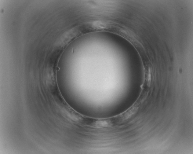 X0000070410418200606091156