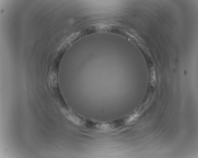 X0000070410419200606091156