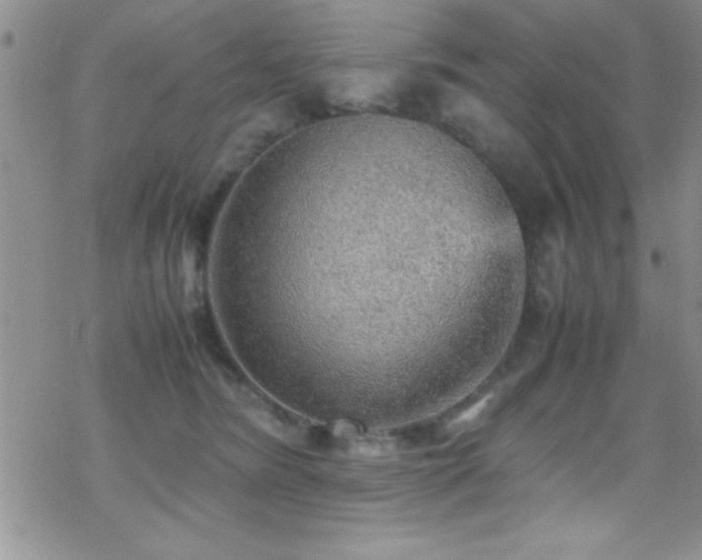 X0000070410420200606091156