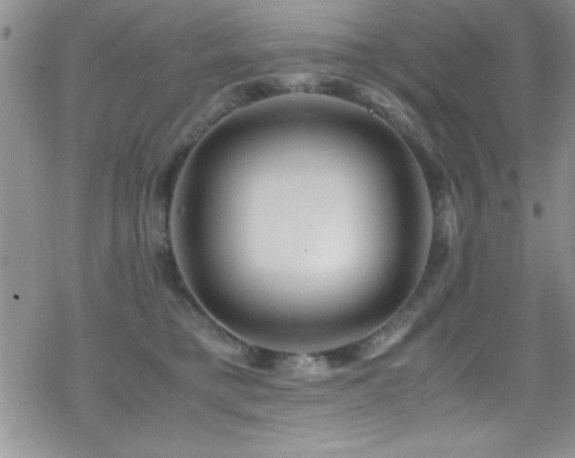 X0000070410421200606091156