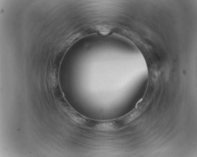 X0000070410422200606091156