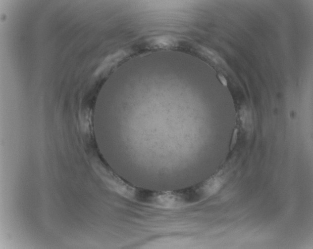 X0000070410423200606091156