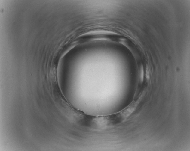 X0000070410425200606091156