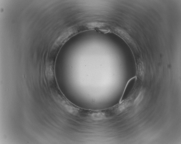 X0000070410426200606091156