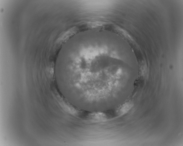 X0000070410427200606091156