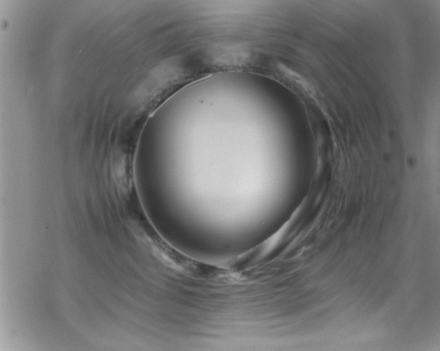 X0000070410428200606091156