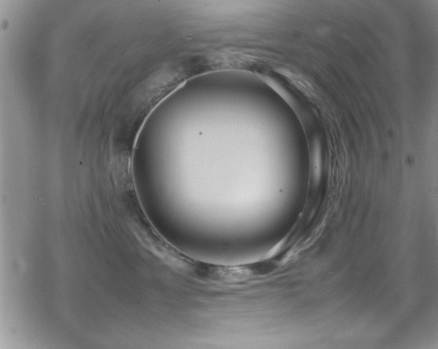 X0000070410429200606091156