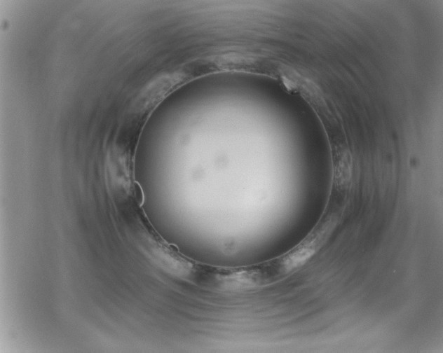 X0000070410430200606091156