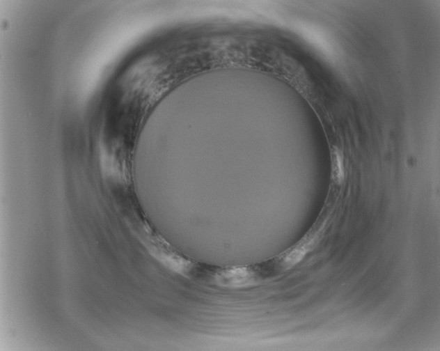 X0000070410431200606091156