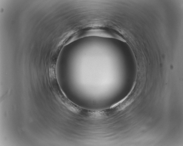 X0000070410432200606091156