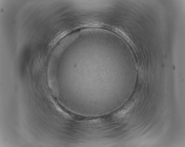 X0000070410433200606091155