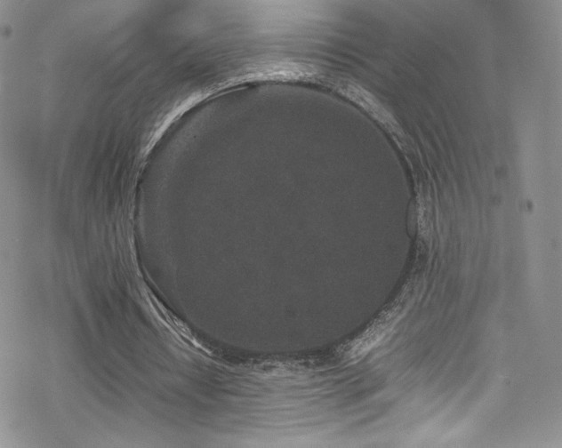 X0000070410434200606091155