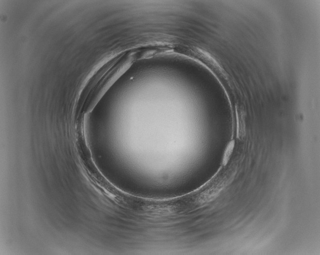 X0000070410435200606091155