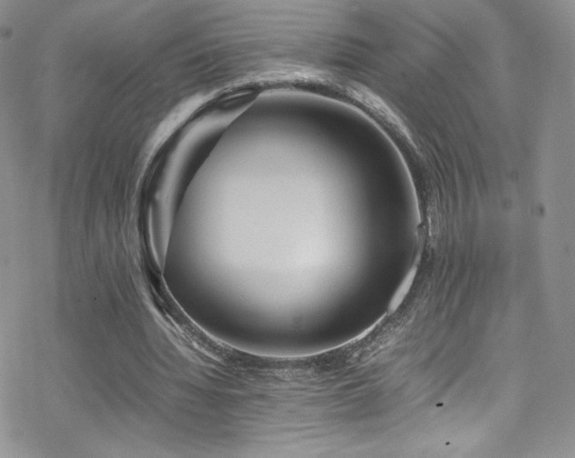 X0000070410436200606091155