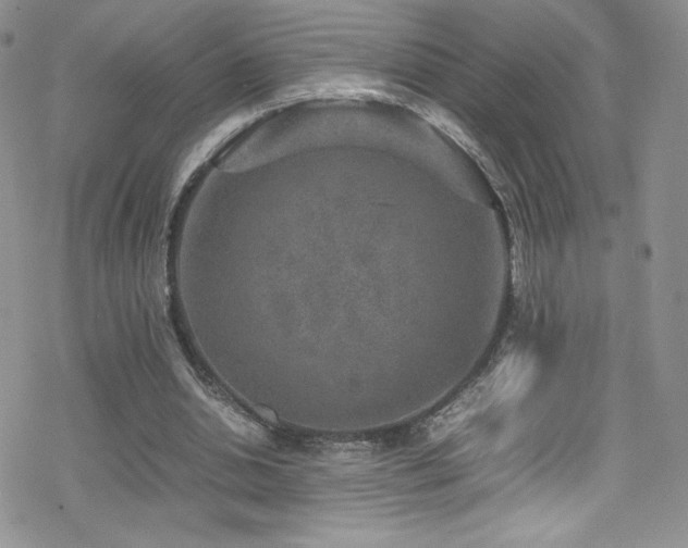 X0000070410438200606091155