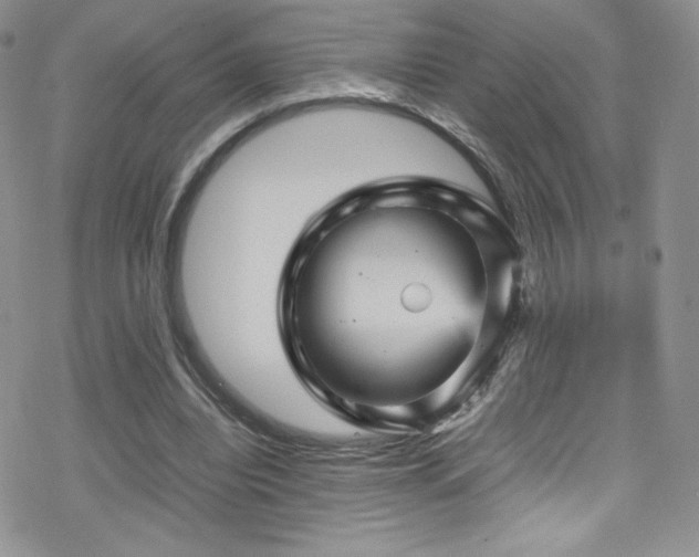 X0000070410440200606091155