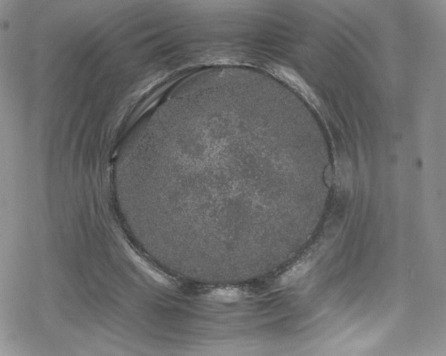 X0000070410441200606091155