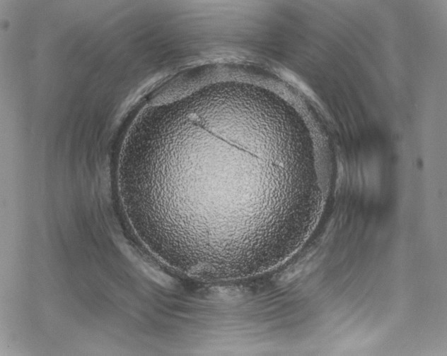 X0000070410442200606091155