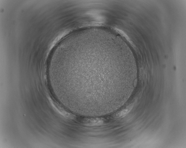 X0000070410443200606091155