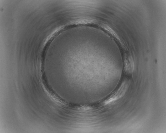 X0000070410444200606091155