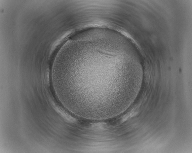 X0000070410446200606091155