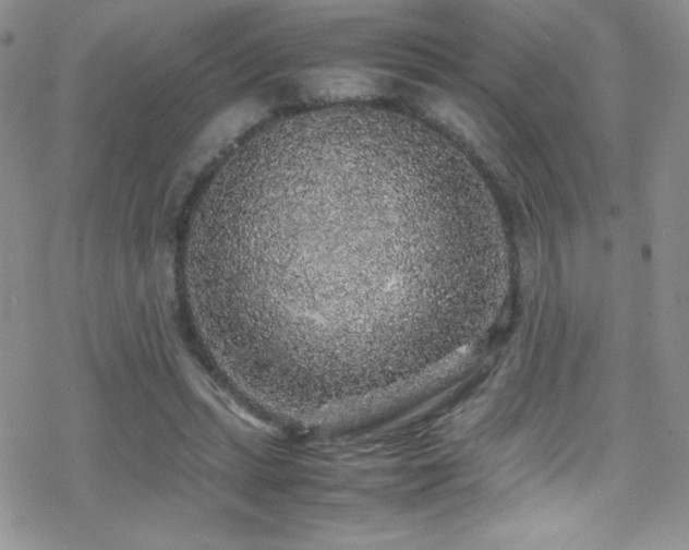 X0000070410447200606091155