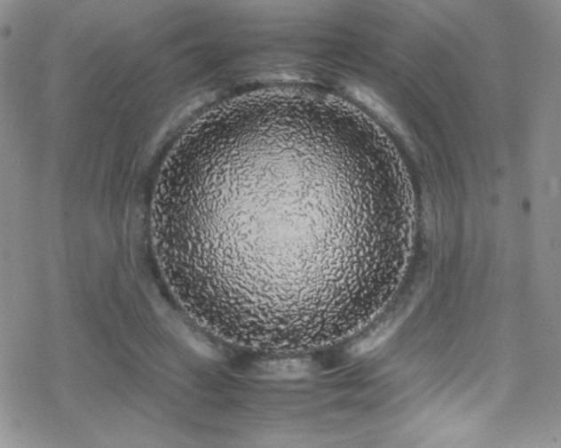 X0000070410449200606091155