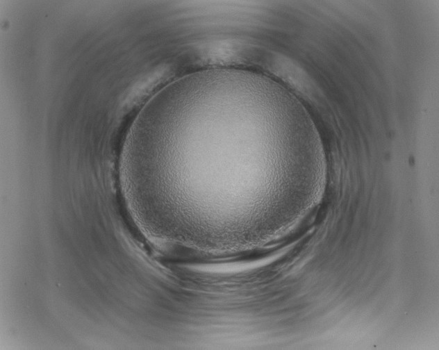 X0000070410450200606091155