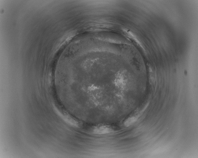 X0000070410451200606091155