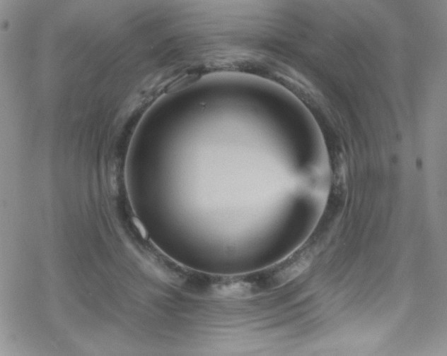 X0000070410452200606091155