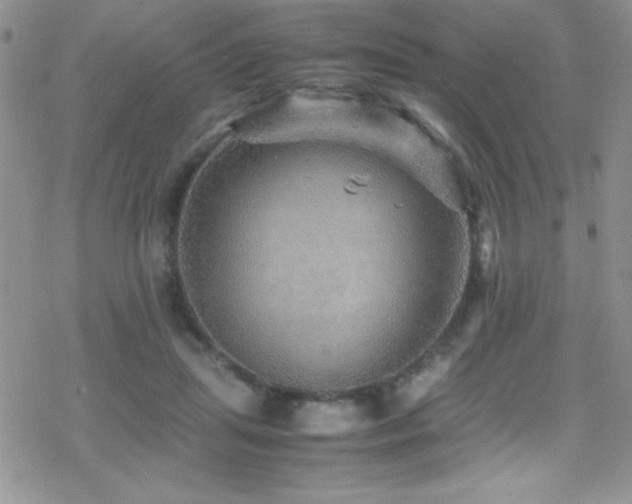 X0000070410455200606091155