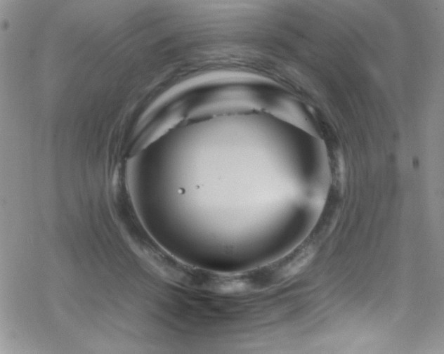 X0000070410456200606091156