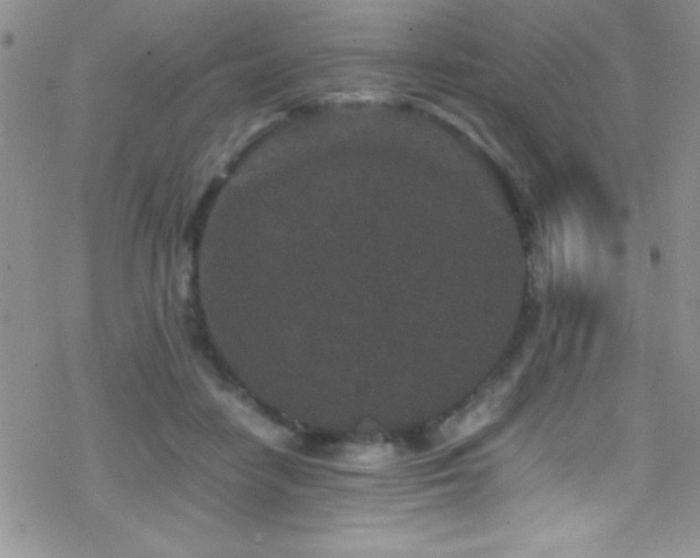 X0000070410458200606091156