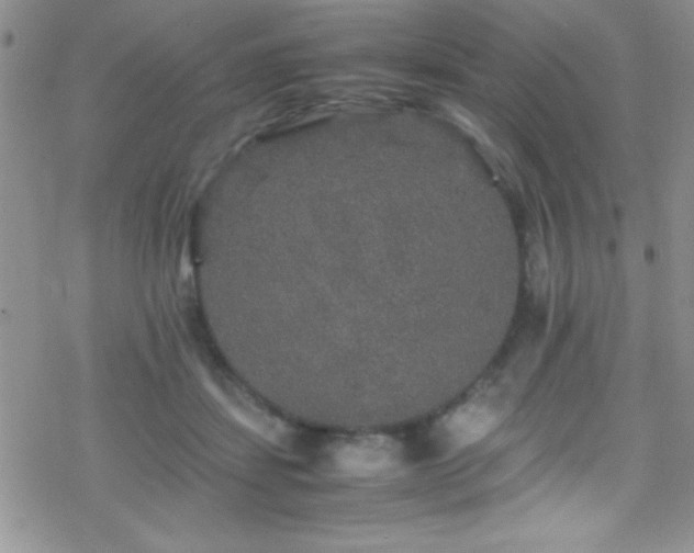 X0000070410459200606091156