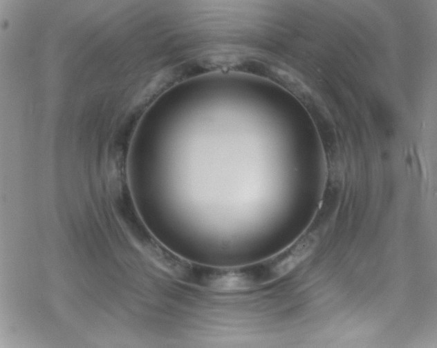 X0000070410460200606091156