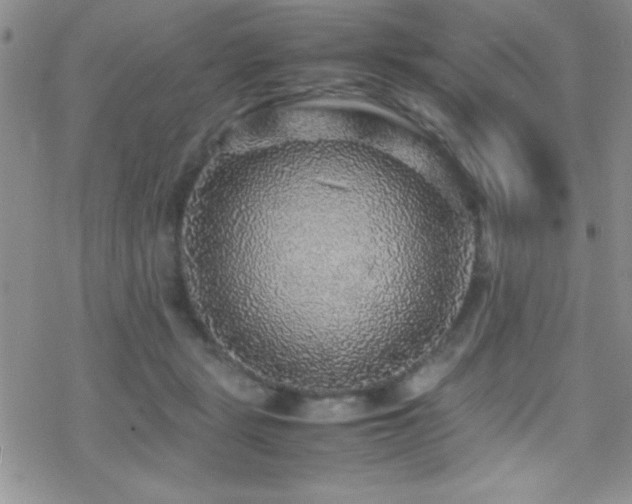 X0000070410461200606091156