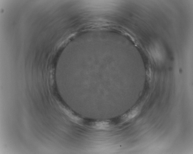 X0000070410462200606091156