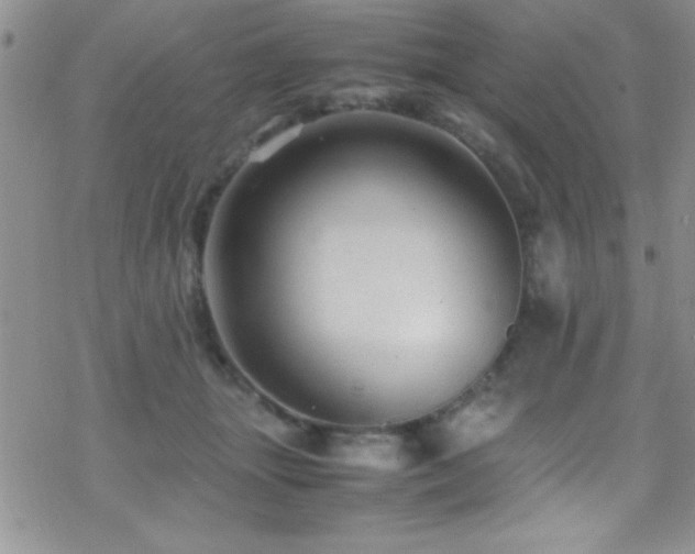 X0000070410463200606091156