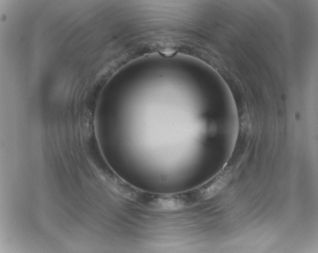 X0000070410464200606091156