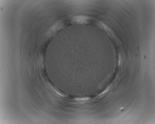 X0000070410465200606091156