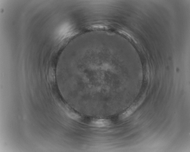 X0000070410467200606091156