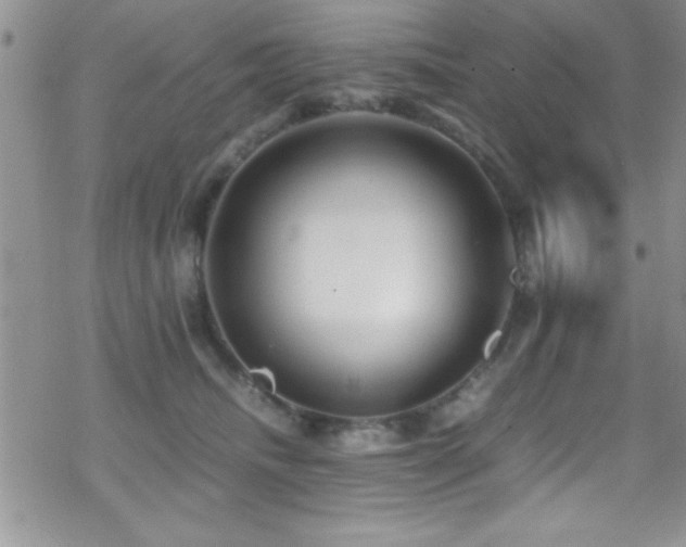 X0000070410468200606091156