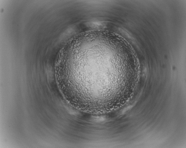 X0000070410469200606091156