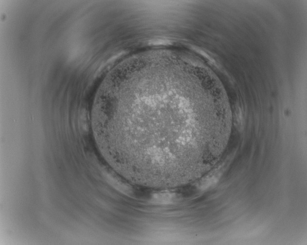 X0000070410470200606091156